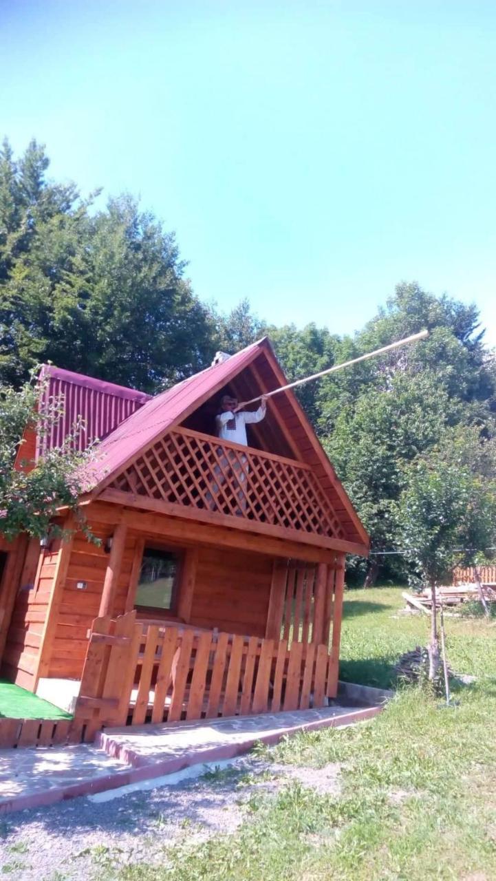 Трембіта Rakhiv Exterior foto